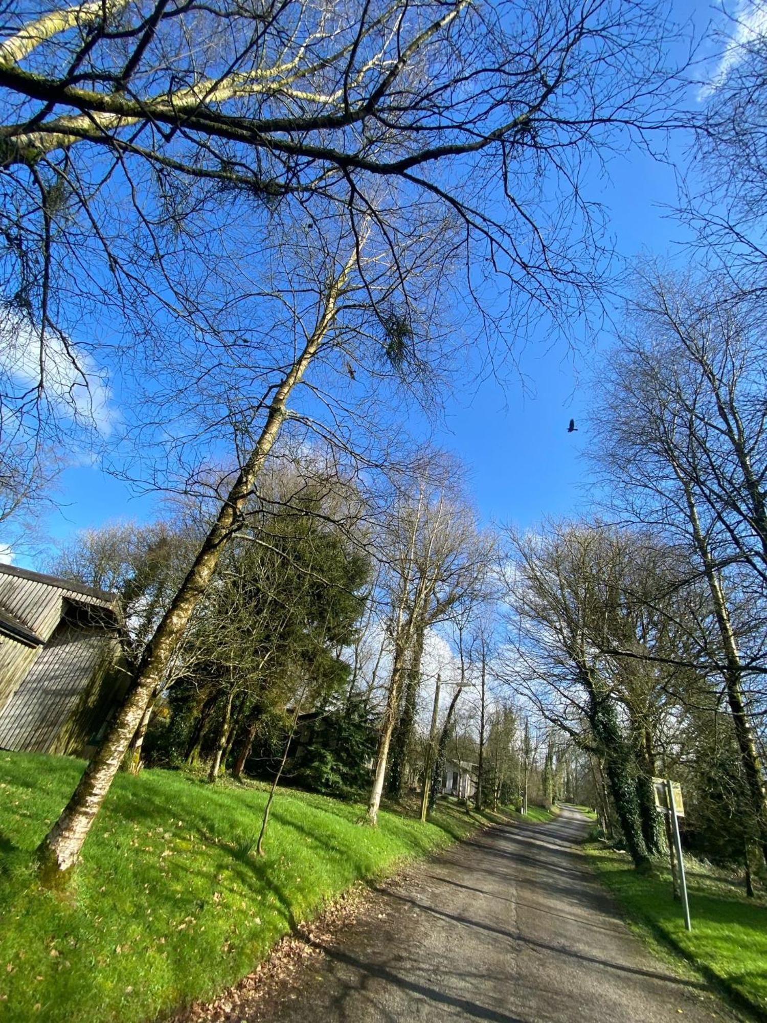 Ballyhoura Mountain Lodges Ballyorgan ภายนอก รูปภาพ