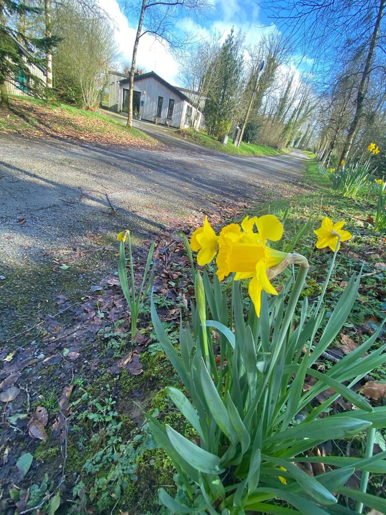 Ballyhoura Mountain Lodges Ballyorgan ภายนอก รูปภาพ