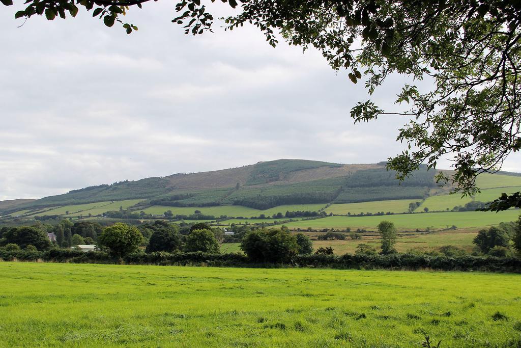Ballyhoura Mountain Lodges Ballyorgan ห้อง รูปภาพ